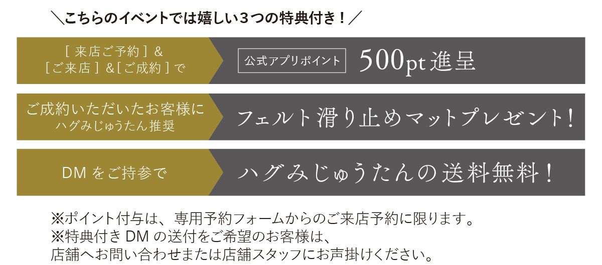 アデペシュ神戸店・ららぽーと愛知東郷店 ハグみじゅうたん展